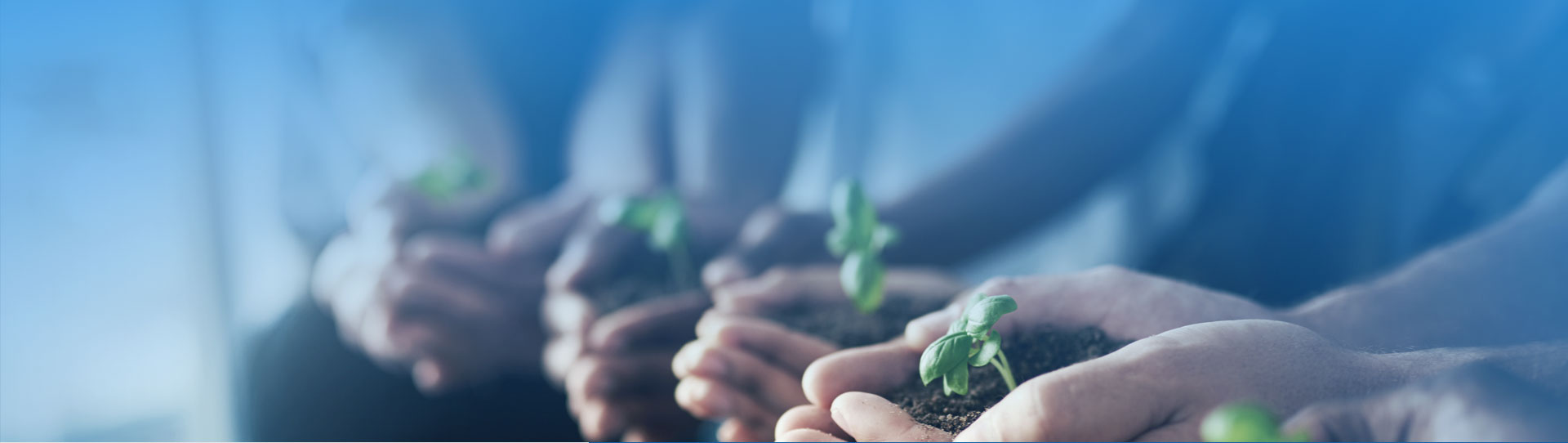 pp电子·(中国)官方网站